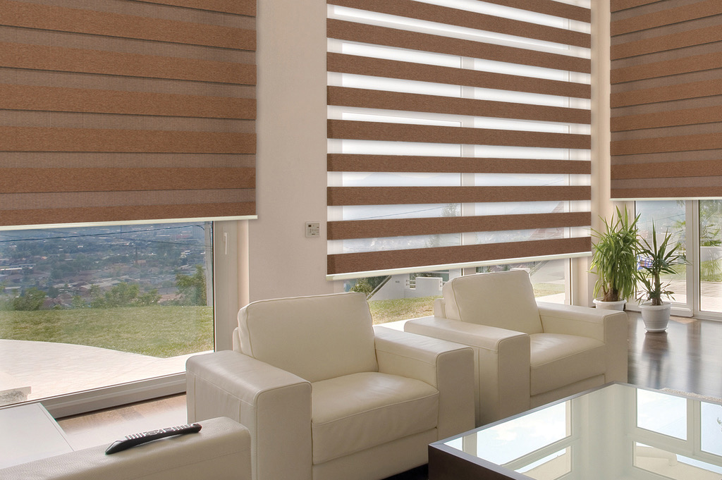 Zebra shades — Lounge