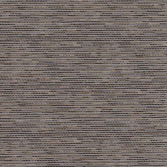 Intimate Captiva Blackout — Coffee