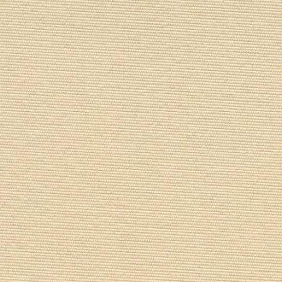 Intimate Singular Blackout — Camel
