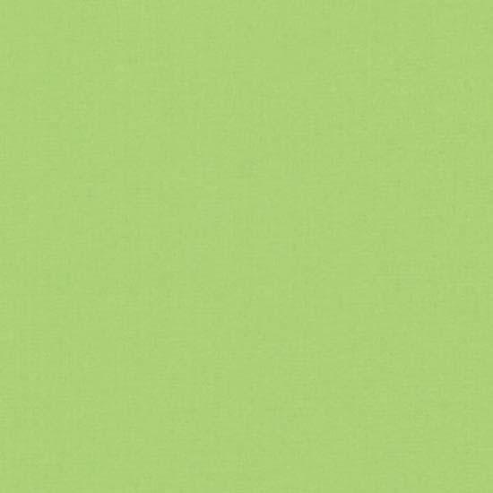 Nightfall Bimini Blackout — Fresh Green