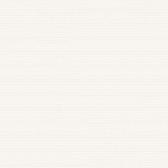 VX Screen 3101-1% — White